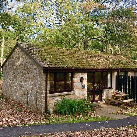 Cosy Woodland Home Uny Lelant Екстер'єр фото